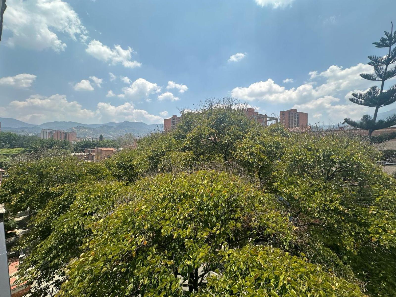 Edificio Af Apto Floresta 501 Apartamento